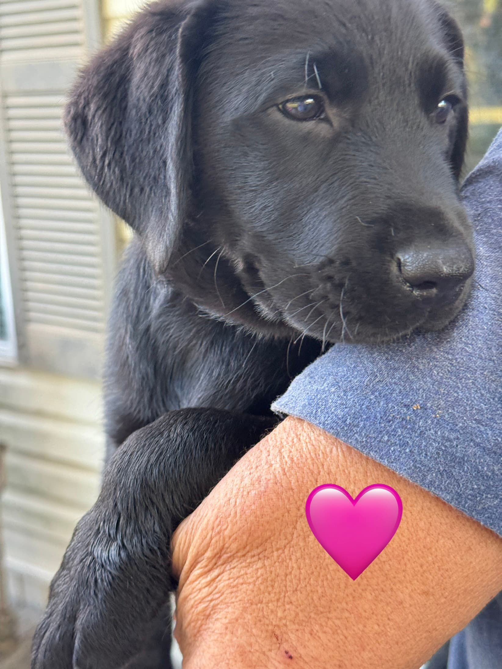 Skye